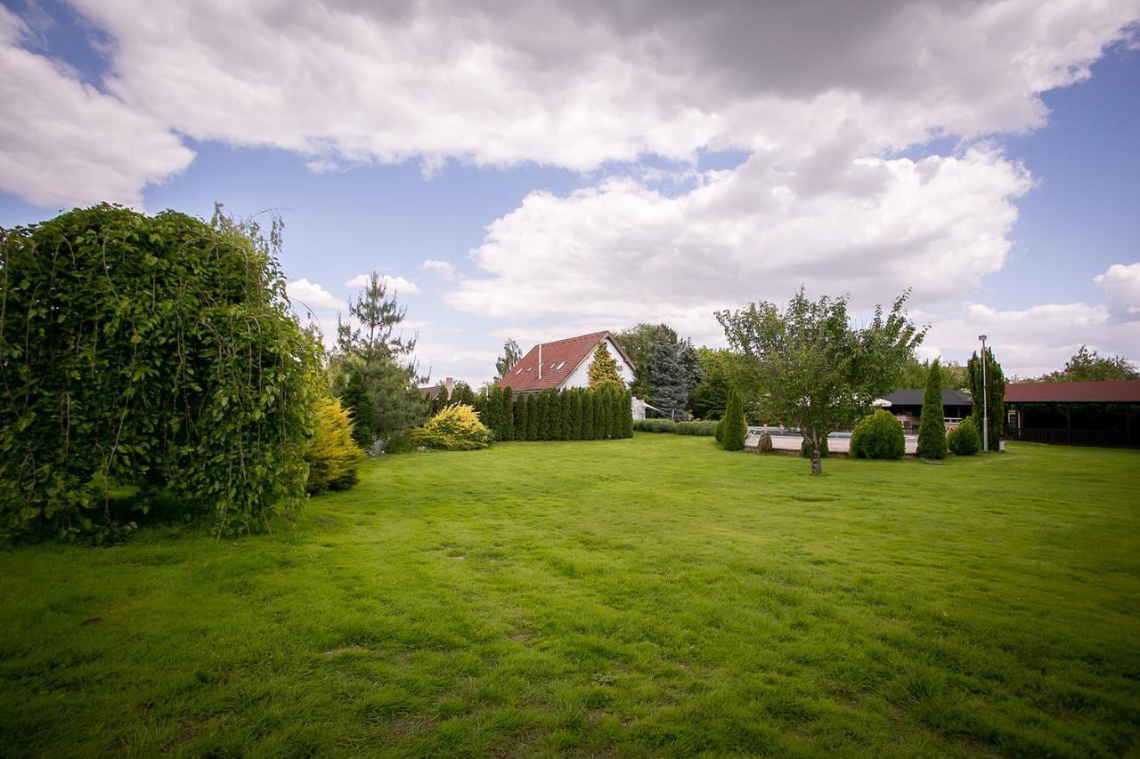 Forras Vendeghaz Villa Dunaegyhaza Exterior photo