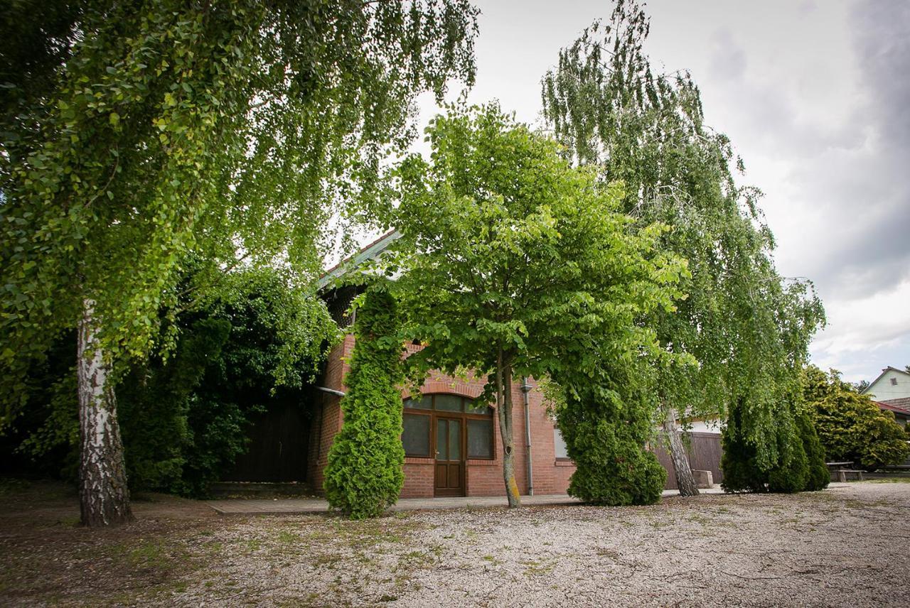 Forras Vendeghaz Villa Dunaegyhaza Exterior photo